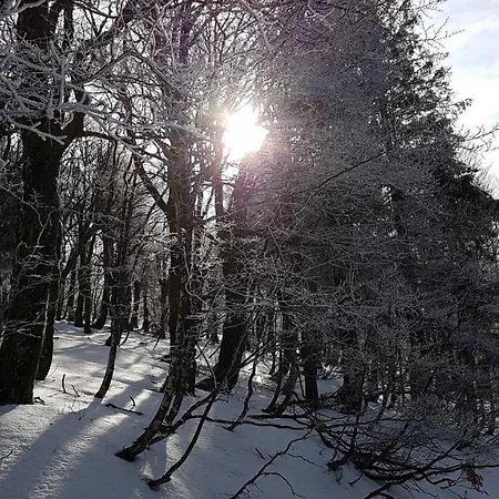 L'Ideal Gerardmer Luaran gambar