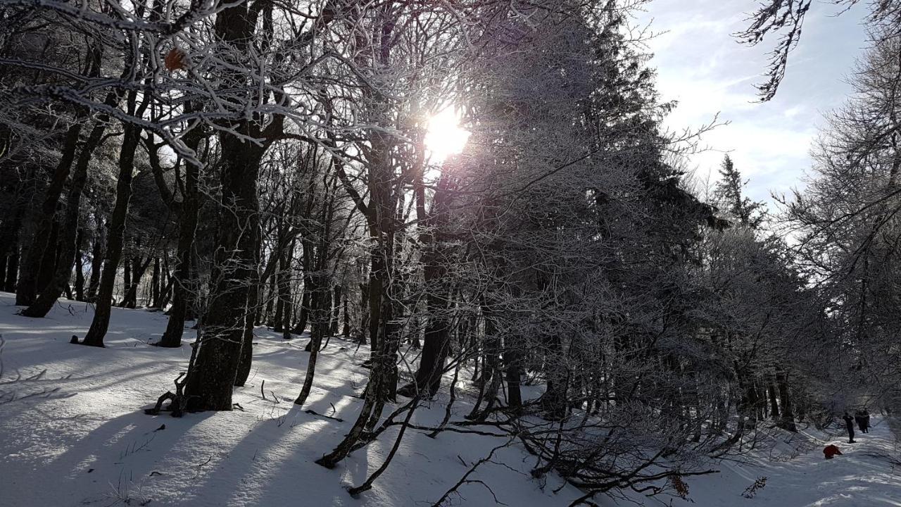 L'Ideal Gerardmer Luaran gambar