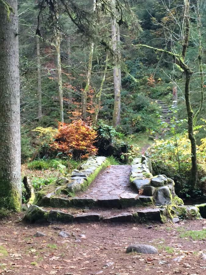 L'Ideal Gerardmer Luaran gambar